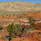 Capitol Reef NP 4